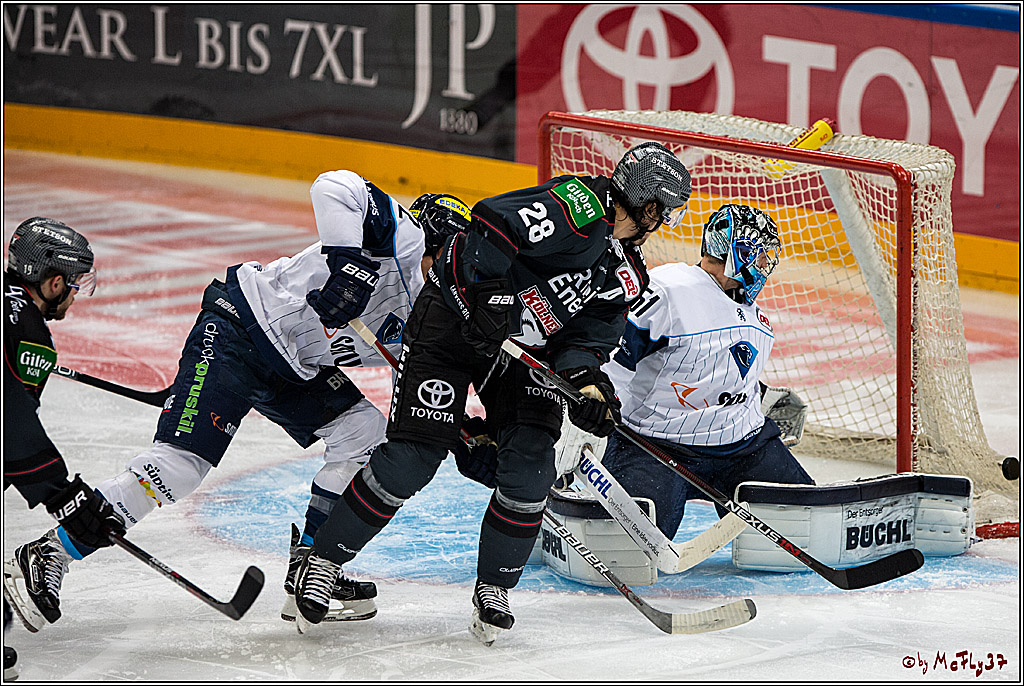 Koelner Haie - ERC Ingolstadt, 23.10.2016